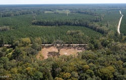 2374 Colesburg Tompkins Road, Woodbine, GA 31569