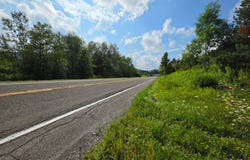 0WP Route 221, Lapeer, NY 13803