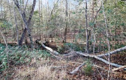 W S Wilson Boulevard, Columbia, SC 29203