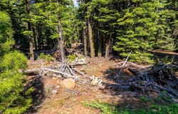 8735 Bering Road, Alturas, CA 96101
