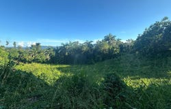 Cañaboncito, Caguas, PR 00727
