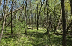 V/L Bellevue, Bellevue, MI 49021