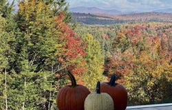 59 Garden Loop Road, Winhall, VT 05340