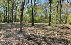115 Cahaba View Drive, Selma, AL 36702