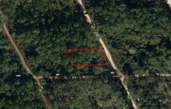 Coot Drive, Satsuma, FL 32189