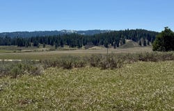 L3 B1 Lantern Way, Cascade, ID 83611
