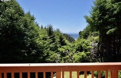 34518 MUTTS Way, GoldBeach, OR 97444
