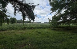Morrow Road, Fulton, KY 42041