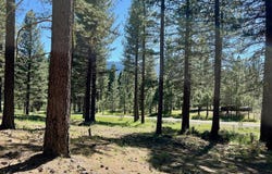 1855 Valley Ranch Drive, Clio, CA 96106