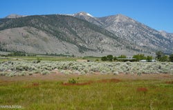 060 Old Chambers Road, Markleeville, CA 96120