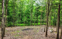 Cedar Lane lot: #4, Mendon, VT 05701