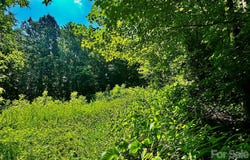 75 Fork Creek Road, Saluda, NC 28773