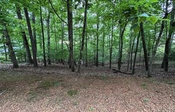 ANDERSON HOLLOW Rd, Savannah, TN 38372