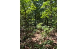 59/60 Plantation Blvd, Georgetown, GA 39854