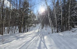 Farrar Road, Chester, VT 05143