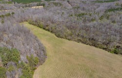 Doll Branch Road, Milton, NC 27305