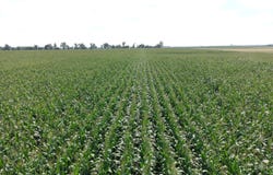398th Ave, Frederick, SD 57441
