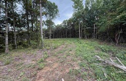 55 MOUNTAIN BROW DRIVE lot: 1, ONEONTA, AL 35121