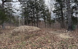 13347 County Road E 76-126, Ava, MO 65608