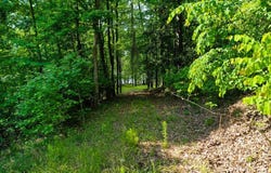 Watson Spur RD, Georgetown, GA 39854