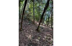 Pine Drive lot: 39, Garfield, AR 72732