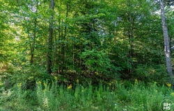 Mt Pisgah Park lot: 18, Saranac Lake, NY 12983