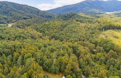 Willow Branch Rd, Boones Mill, VA 24065