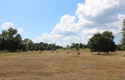 AB 2 John Bevil Burch Street, Jasper, TX 75951