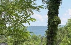 FOX RUN lot: 24A 3.22 Ac, BAKER, WV 26801
