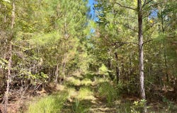 -- Ironweed Road, Edgefield, SC 29824