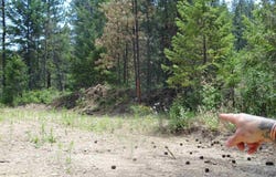 4482 Old E Springdale Rd, Loon Lake, WA 99148-5141