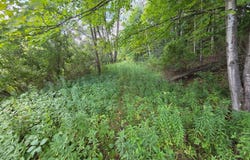 Brookins, North Norwich, NY 13814