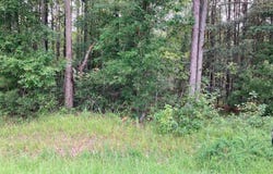 33 Pine Crest Road, Bath, NC 27808