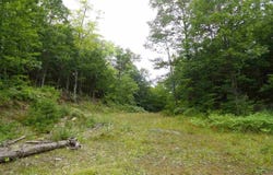 320 Acre Co Rd 510, Marquette, MI 49855