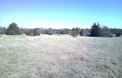 Tr 5 CR 1750, Chico, TX 76431