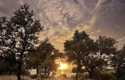 4215 E Sunset Cliff Road, Burnet, TX 78611