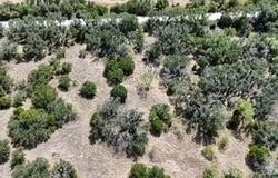 178 County Road 199, Mullin, TX 76864