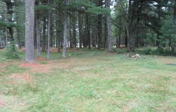 1144 LULLABY LN, St Germain, WI 54558