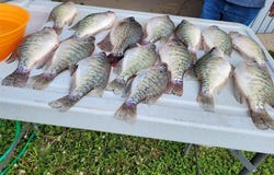 Monroe Road 581, Perry, MO 63462