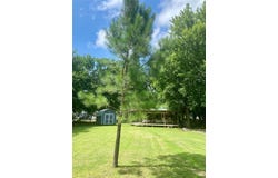 311 E Saint Louis Street, Wetumka, OK 74883