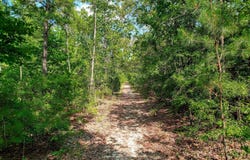 1150 Bethcar Church Road, Wagener, SC 29164