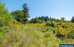 Next to 2414 Main St, Sweet Home, OR 97386