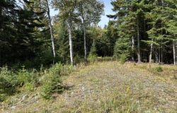 Johnson Lane lot: 6, Rangeley, ME 04970
