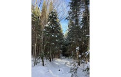 Shadow Lake Road, Glover, VT 05839