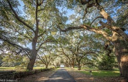 Pointe Aux Chenes lot: 8, Ocean Springs, MS 39564