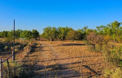 FM 2279, Rochester, TX 79544