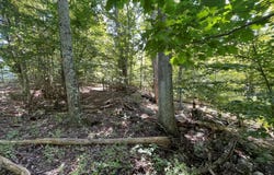 Co Rte 48, Thompson Ridge, NY 10985