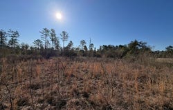 Highway 231, TROY, AL 36079