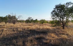 C R 5400, Lubbock, TX 79415