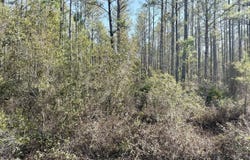 18 Satilla Plantation, Waynesville, GA 31566